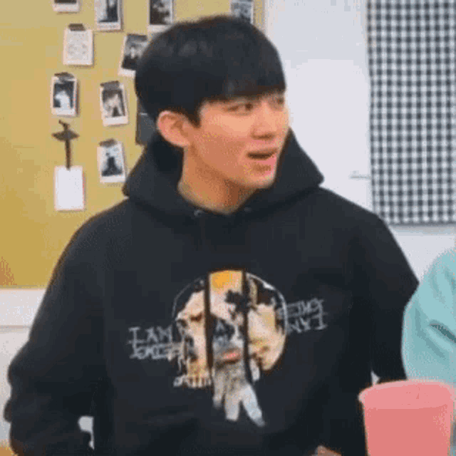 Lol Funny GIF