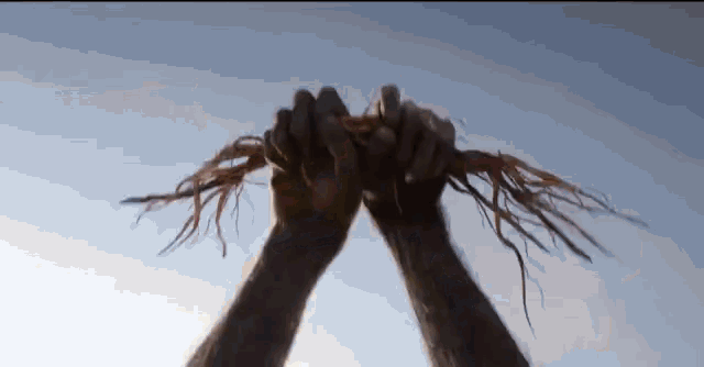 a person is holding a bunch of branches in their hands