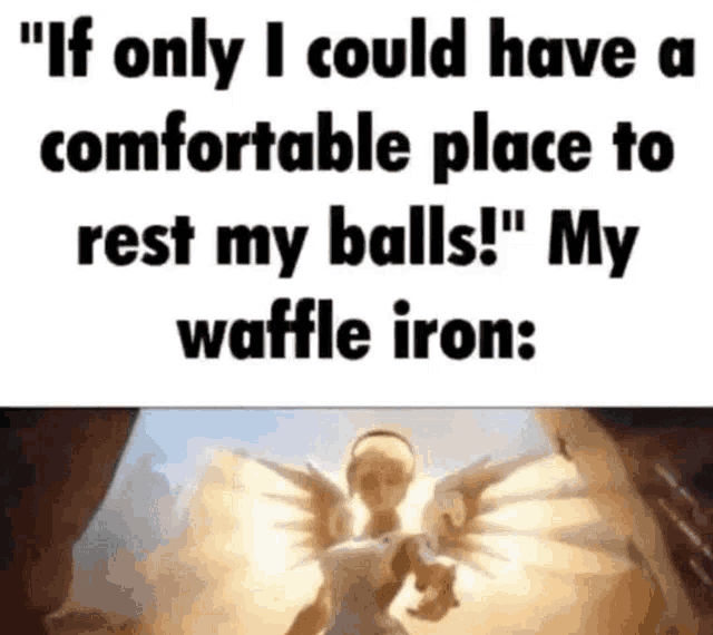 if only i could have a comfortable place to rest my balls ! " my waffle iron :