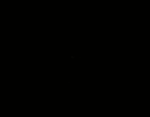 a dark room with a door that has a lion handle on it