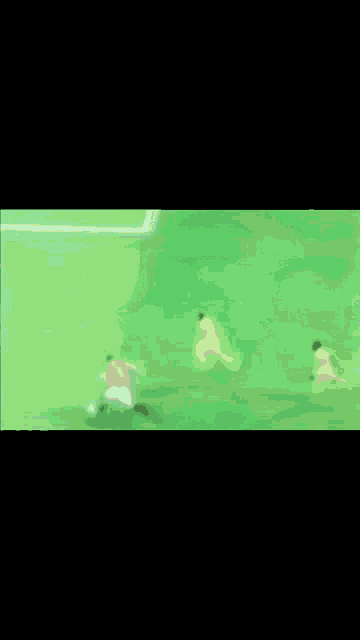 a group of people are playing soccer on a field