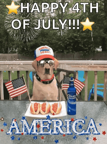 a dog is sitting at a table with a plate of food and a bottle of bud light