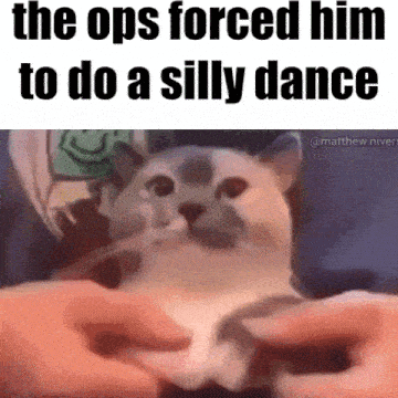 Opps Forced Him To Do A Silly Dance Ops GIF - Opps Forced Him To Do A Silly Dance Opps Ops GIFs