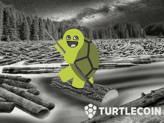 Turtlecoin Logger GIF - Turtlecoin Turtle Logger GIFs