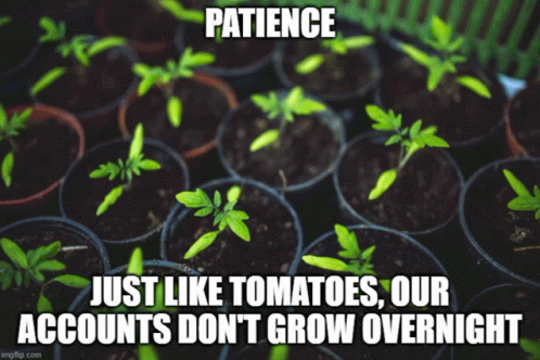 Patient Tomatoes Grow Your Account GIF - Patient Tomatoes Grow Your Account Day Trader GIFs
