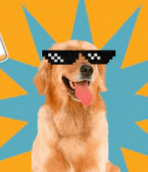 a dog wearing sunglasses with a pink tongue sticking out .