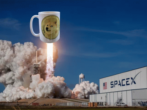Spacex Doge GIF