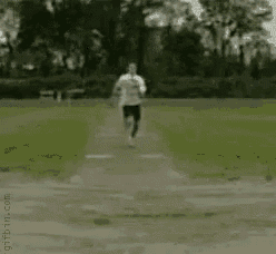a dog is running down a path in a field .