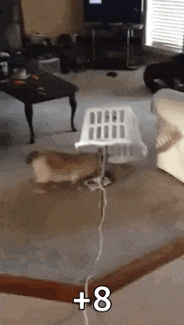 a dog is standing next to a laundry basket in a living room with a staircase .