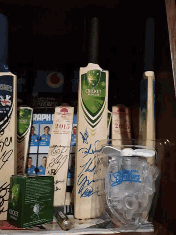 Cricket Cricketbat GIF - Cricket Cricketbat Signatures GIFs