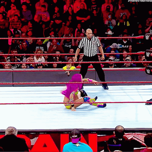 Sasha Banks Punching GIF - Sasha Banks Punching Charlotte Flair GIFs