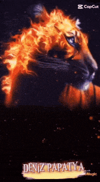 a tiger with flames coming out of its head