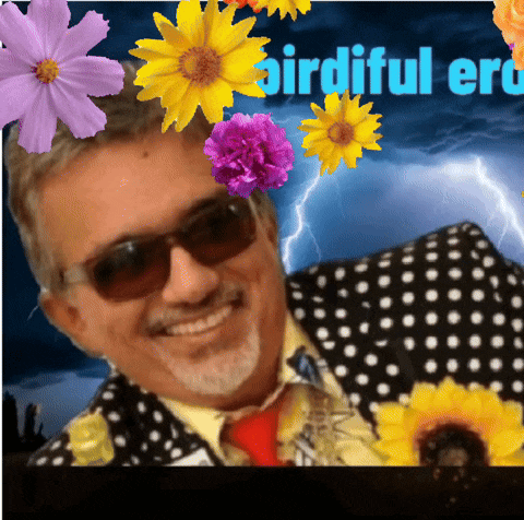 a man in a polka dot suit is surrounded by flowers and the words " birdful " on the bottom