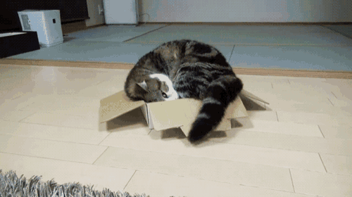 Size Matters GIF