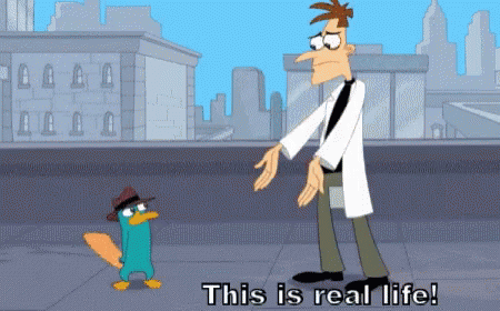 Real Life Phineas And Ferb GIF