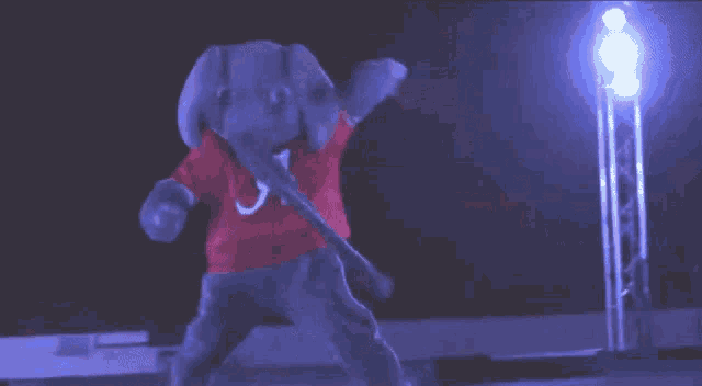 an elephant mascot wearing a red shirt with a letter a on it