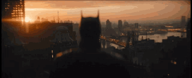 a man in a batman costume is standing in front of a city skyline at sunset