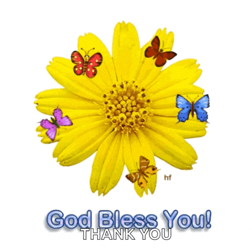 a yellow flower with butterflies around it and the words god bless you