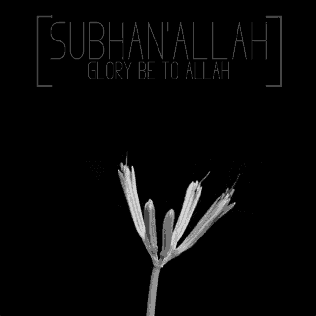 a black and white photo of a flower with the words glory be to allah