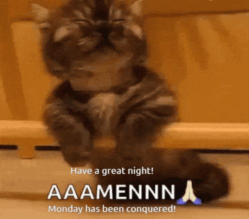 Good Night Monday Conquered GIF - Good Night Monday Conquered GIFs