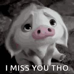 a cartoon pig with a pink nose is sitting on the ground and saying `` i miss you tho '' .