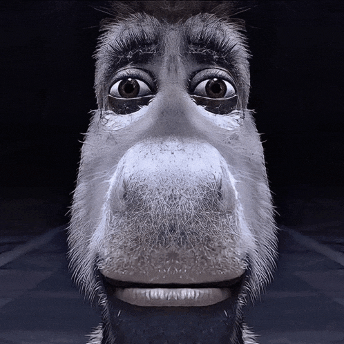 a close up of a donkey 's face with big eyes and a beard
