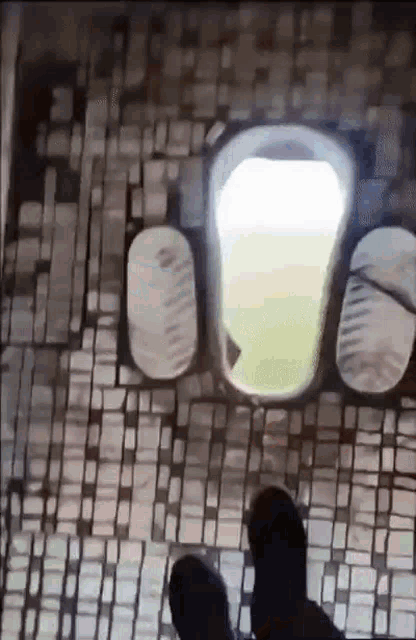 Food Fish Tasty GIF
