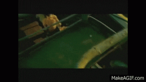 a group of people are jumping into a body of water with the website makeagif.com in the corner