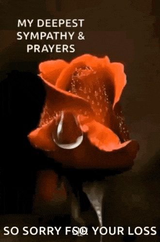 a red rose with a drop of water on it and the words my deepest sympathy and prayers so sorry fso your loss