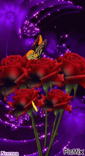 Red Roses GIF - Red Roses Yellow GIFs