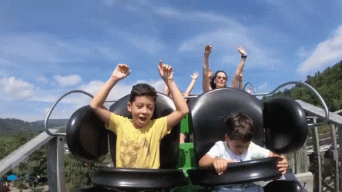 Thrilled Roller Coaster GIF - Thrilled Roller Coaster Fast GIFs