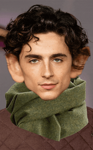 a close up of a man wearing a scarf