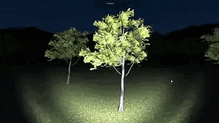 a tree is being lit up by a flashlight in a field at night .