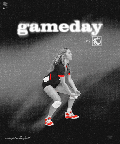 a poster for a game called gameday with a volleyball player on it