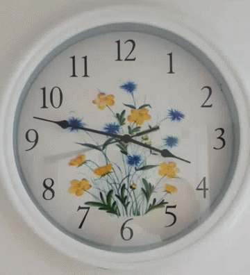 Flowers Time GIF - Flowers Time Clock GIFs