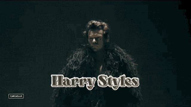 a man in a fur coat with the words harry styles written on it
