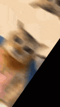 a blurry picture of a cat 's face with a black border