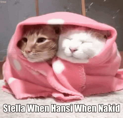 Stella Hansi GIF - Stella Hansi Hansy GIFs