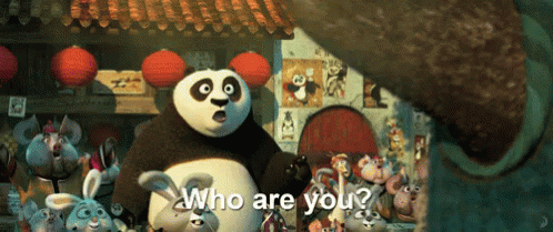 Who Are You? GIF - Kung Fu Panda Po Who Are You GIFs