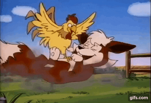 a rooster is sitting on top of a dog in a field .