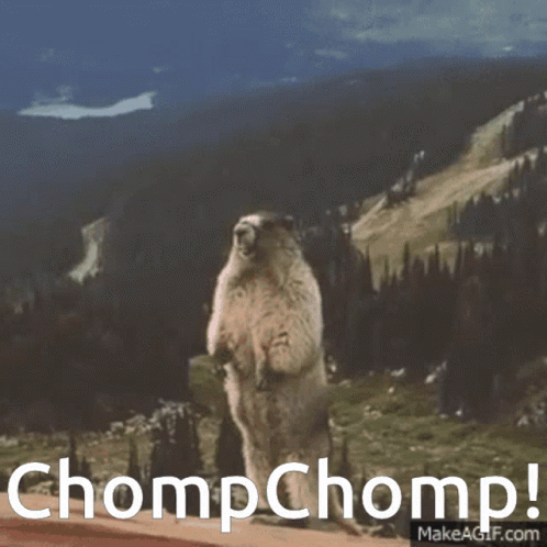 Chomp Chompchomp GIF - Chomp Chompchomp Yell Chomp GIFs