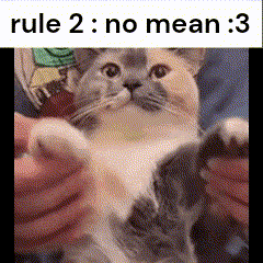 a cat is being held in someone 's arms with the caption rule 2 : no mean 3