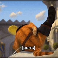 Hello Baby Puss In Boots GIF - Hello Baby Puss In Boots Shrek GIFs