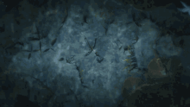 Sea Seabed Corals GIF - Sea Seabed Corals Video Game GIFs