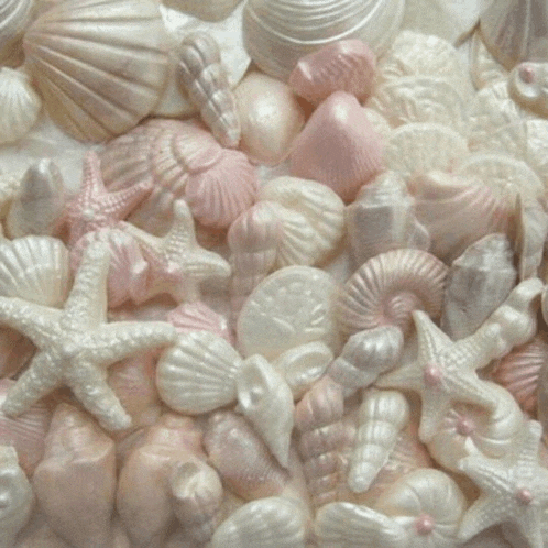 a pile of pink and white seashells with starfish