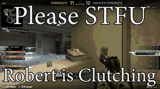 a screenshot of a video game with the words please stfu robert is clutching
