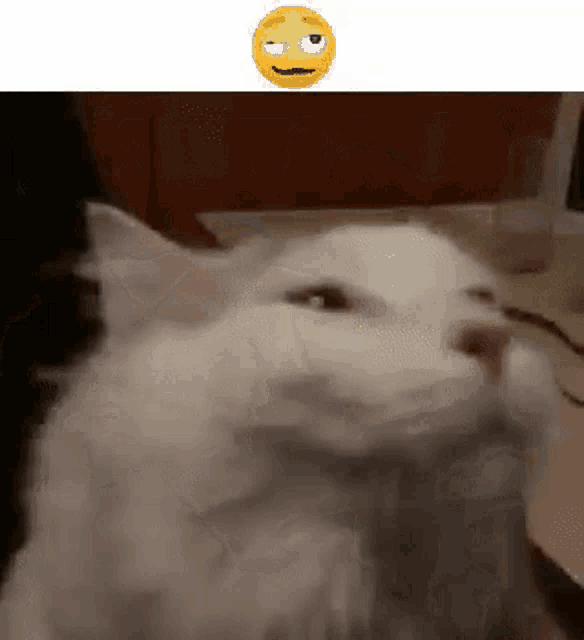 a white cat is sitting on a table with a yellow smiley face above it .