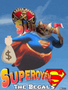a cat in a superman costume is holding a money bag