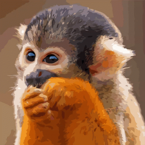 Monkeyseemonkeydo GIF - Monkeyseemonkeydo GIFs