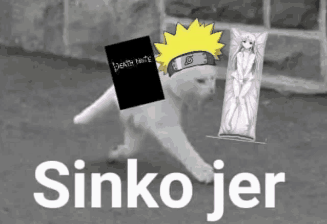 a cat with a book that says death note